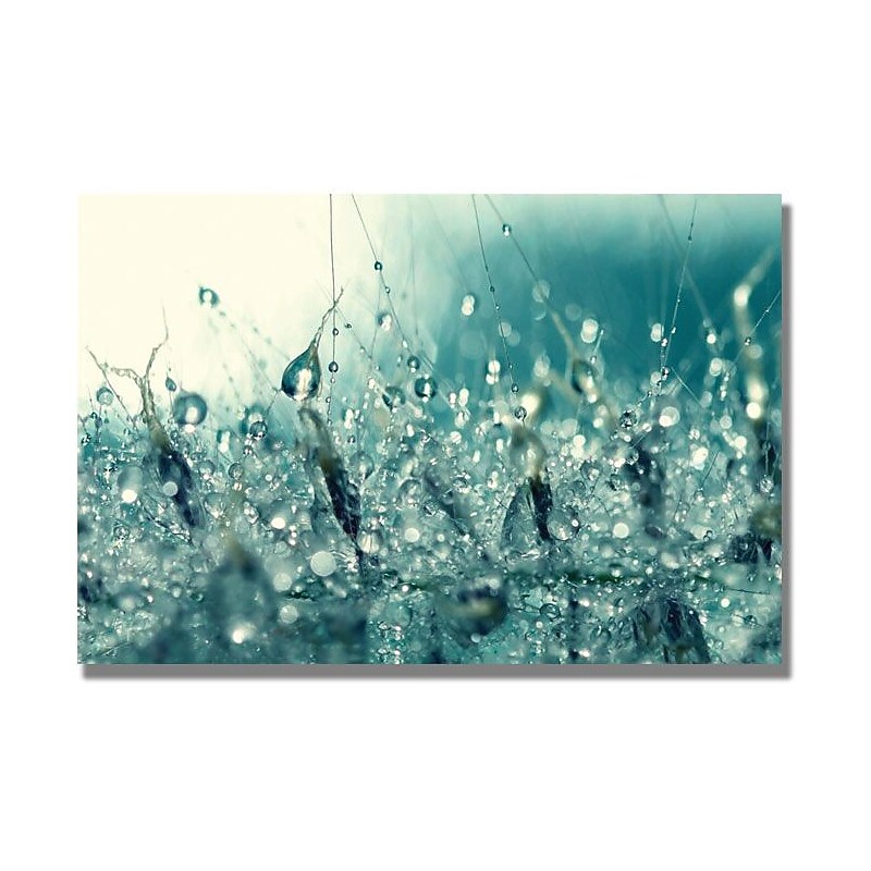 Trademark Global Beata Czyzowska Young "Under the Sea" Canvas Art, 30" x 47" image 1