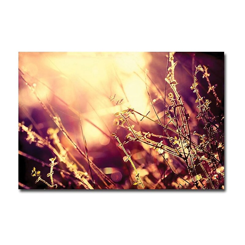 Trademark Global Beata Czyzowska Young "The Show is On" Canvas Art, 16" x 24" image 1