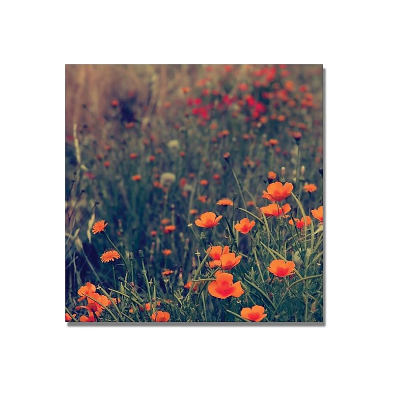 Trademark Global Beata Czyzowska Young "Field of Dreams" Canvas Art, 24" x 24" image 1