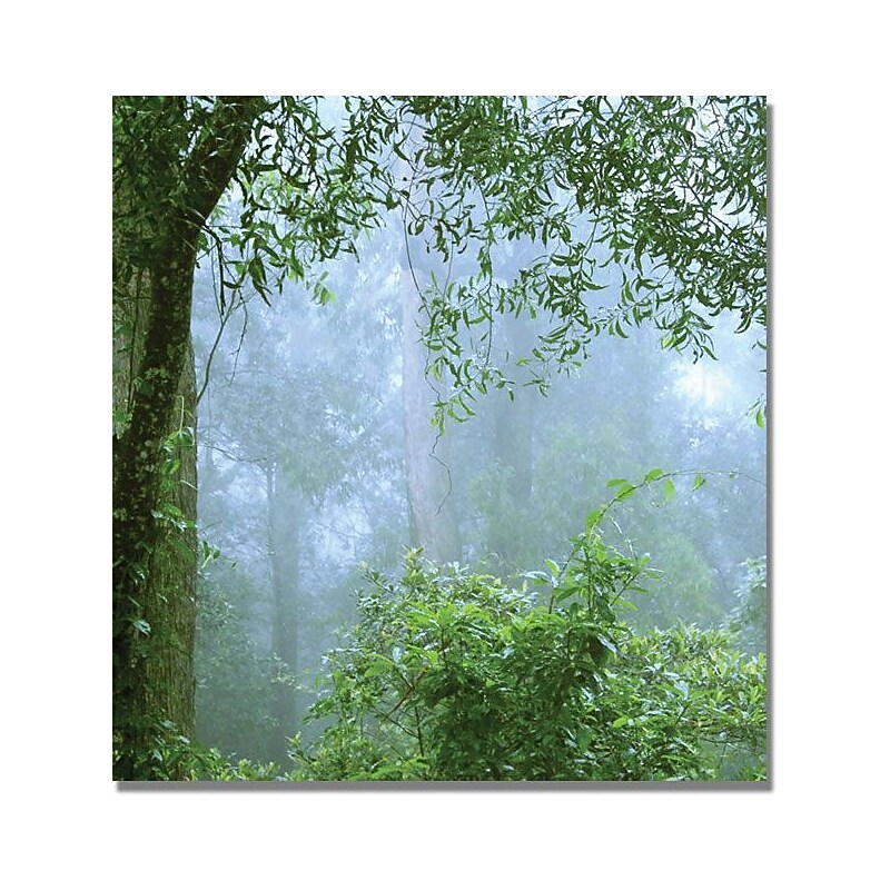 Trademark Global Beata Czyzowska Young "In Her Window" Canvas Art, 35" x 35" image 1