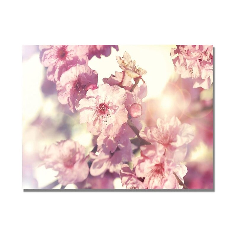 Trademark Global Beata Czyzowska Young "Spring Melody" Canvas Art, 18" x 24" image 1