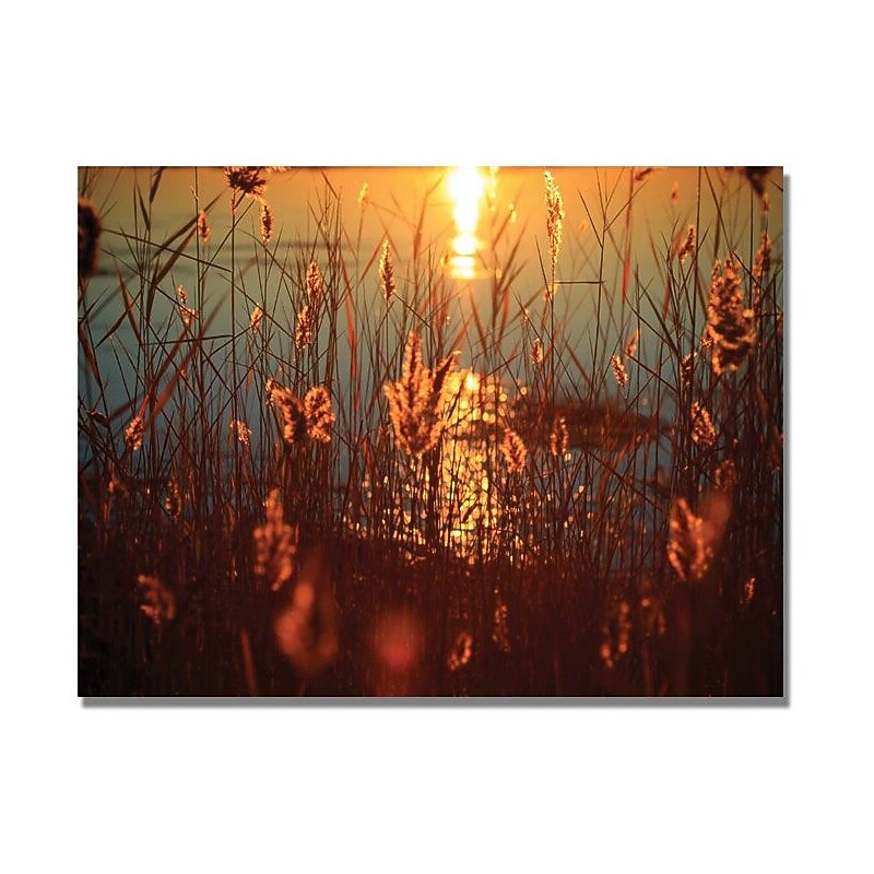 Trademark Global Beata Czyzowska Young "Summer Nights" Canvas Art, 18" x 24" image 1