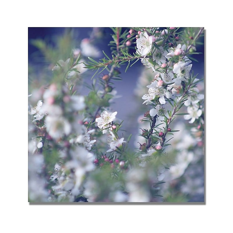 Trademark Global Beata Czyzowska Young "When Your in Her Garden" Canvas Art, 18" x 18" image 1