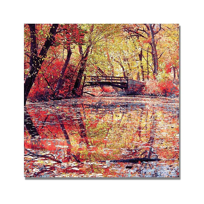 Trademark Global Beata Czyzowska Young "Monets Garden" Canvas Art, 35" x 35" image 1