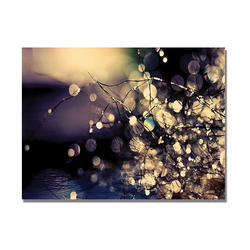 Trademark Global Beata Czyzowska Young "Fairies in my Garden" Canvas Art, 18" x 24" image 1