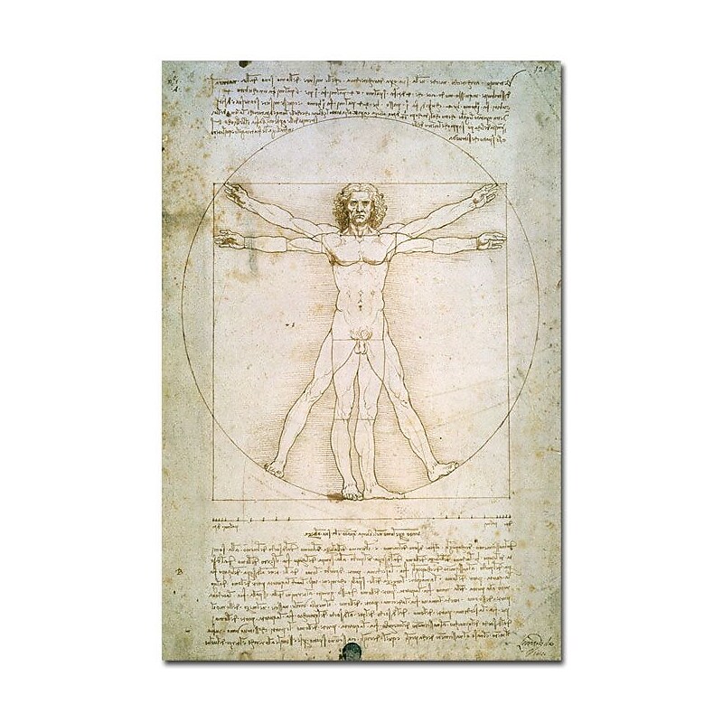 Trademark Global Leonardo da Vinci "The Proportions of the Human Figure" Canvas Art, 24" x 16" image 1