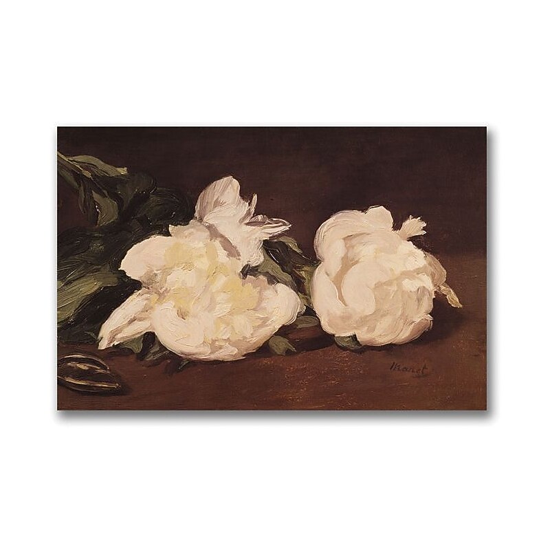 Trademark Global Eduard Manet "Branch of White Peonies" Canvas Art, 35" x 47" image 1