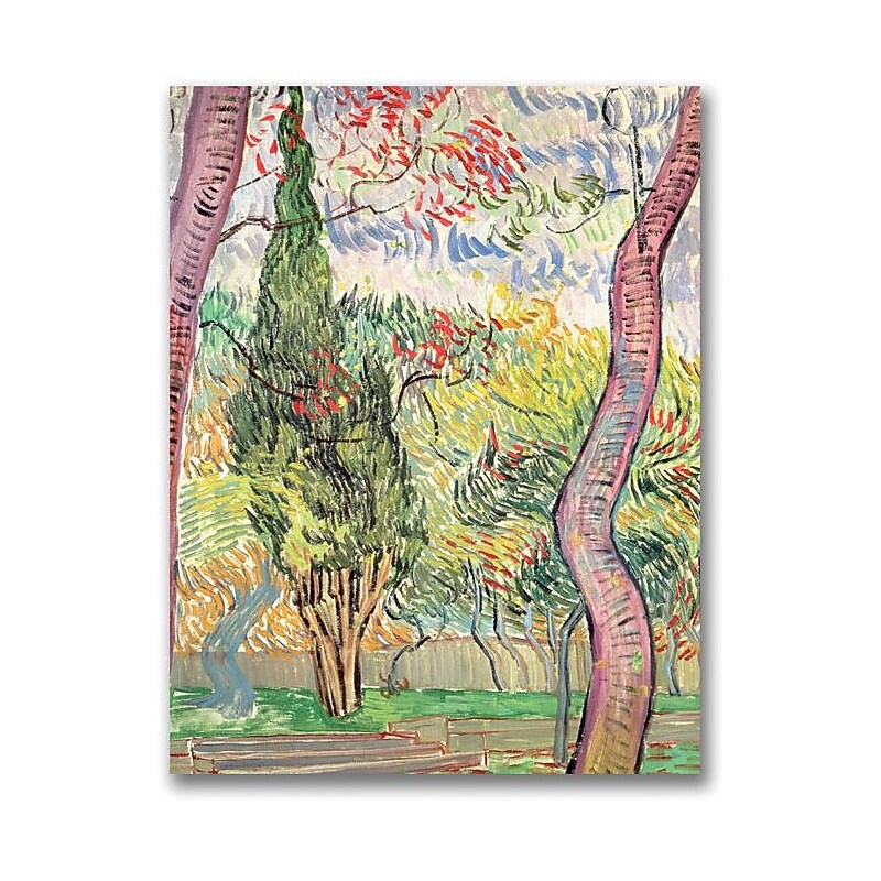 Trademark Global Vincent Van Gogh "The Garden of St. Pauls Hospital" Canvas Art, 47" x 35" image 1