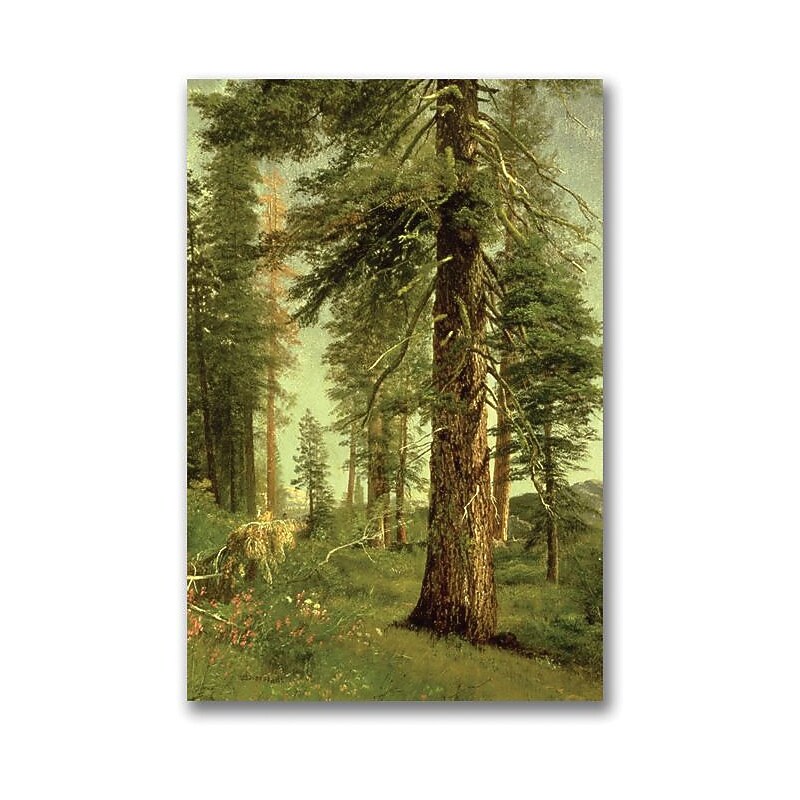 Trademark Global Albert Biersdant "California Redwoods" Canvas Art, 24" x 16" image 1