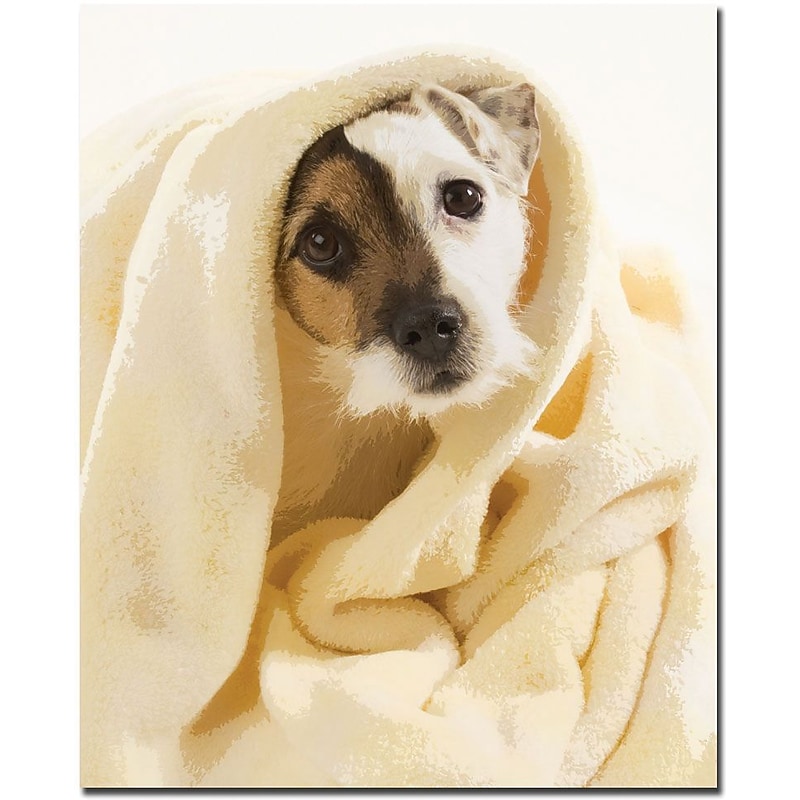 Trademark Global "Jack" Canvas Art, 19" x 14" image 1