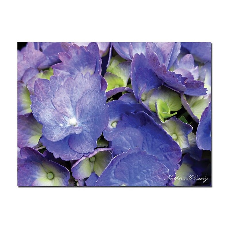 Trademark Global Kathie McCurdy "Hydrangea" Canvas Art, 24" x 32" image 1