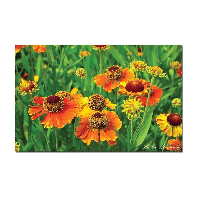 Trademark Global Kathie McCurdy "Orange Daisies" Canvas Art, 30" x 47" image 1