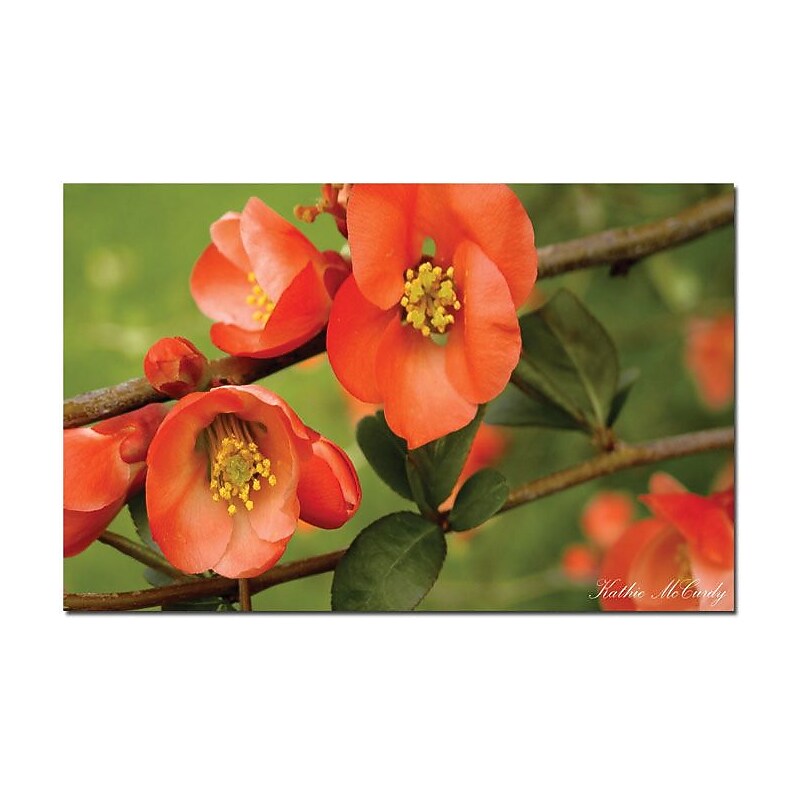Trademark Global Kathie McCurdy "Quince" Canvas Art, 16" x 24" image 1