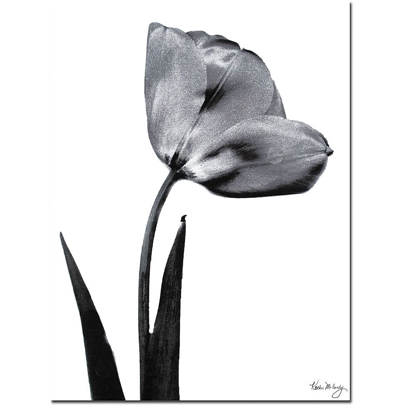 Trademark Global Kathie McCurdy "Tulip" Canvas Art, 24" x 18" image 1
