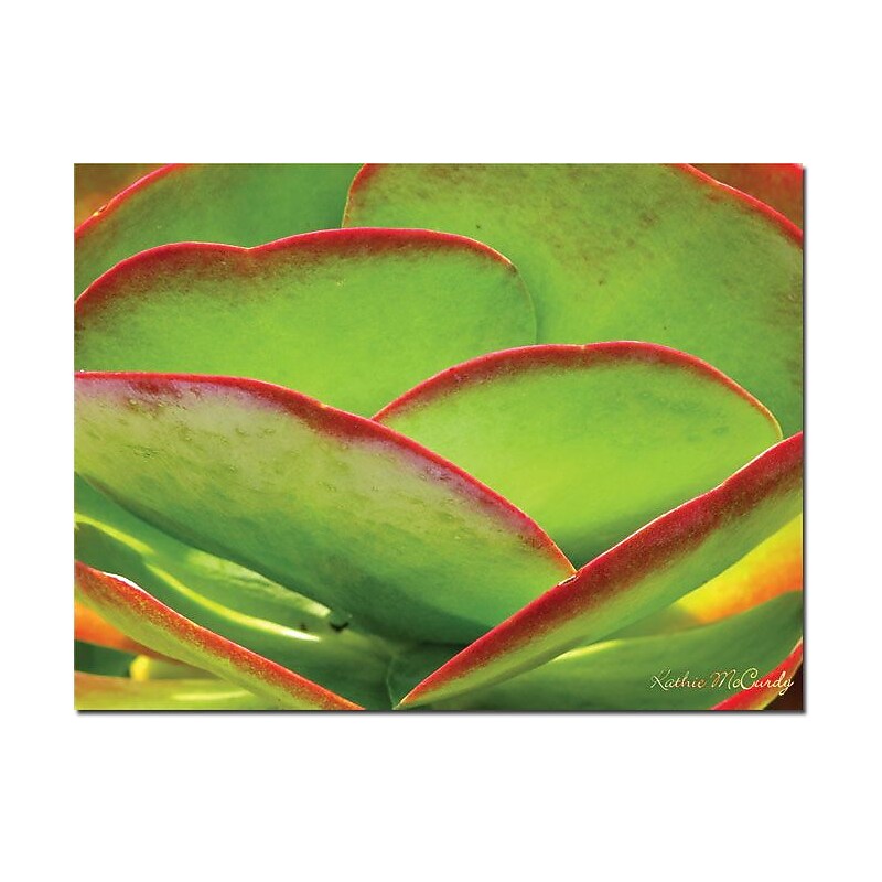 Trademark Global Kathie McCurdy "Neon Cactus" Canvas Art, 24" x 32" image 1