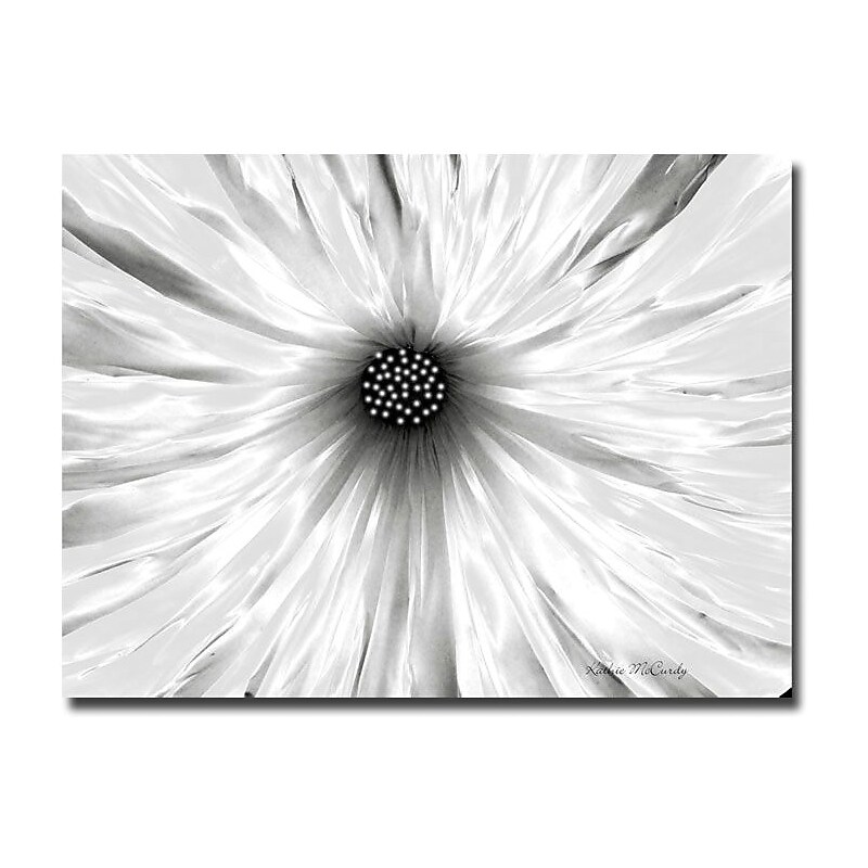 Trademark Global Kathie McCurdy "White Garden" Canvas Art, 24" x 32" image 1