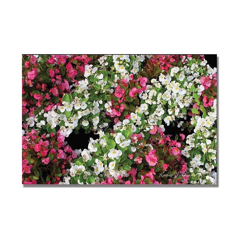 Trademark Global Kathie McCurdy "Begonia Garden" Canvas Art, 16" x 24" image 1