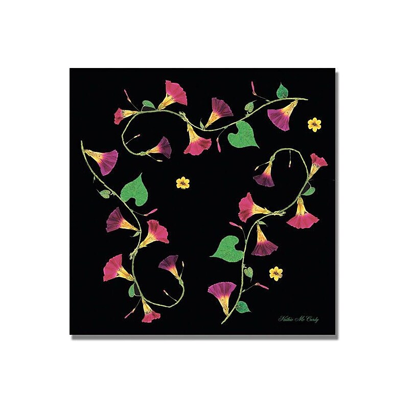 Trademark Global Kathie McCurdy "Pressed Flowers Morning Glories" Canvas Art, 18" x 18" image 1