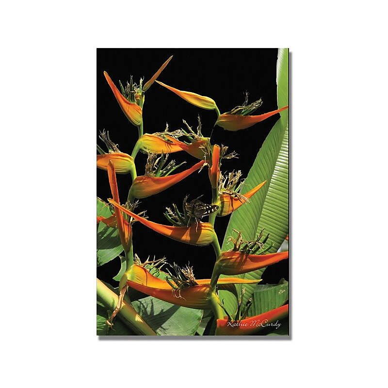 Trademark Global Kathie McCurdy "Tropical Paradise" Canvas Art, 47" x 30" image 1