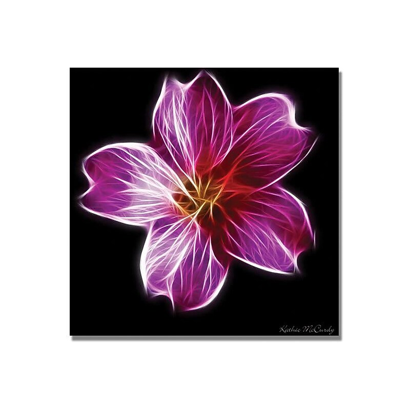 Trademark Global Kathie McCurdy "Cranesbill" Canvas Art, 18" x 18" image 1