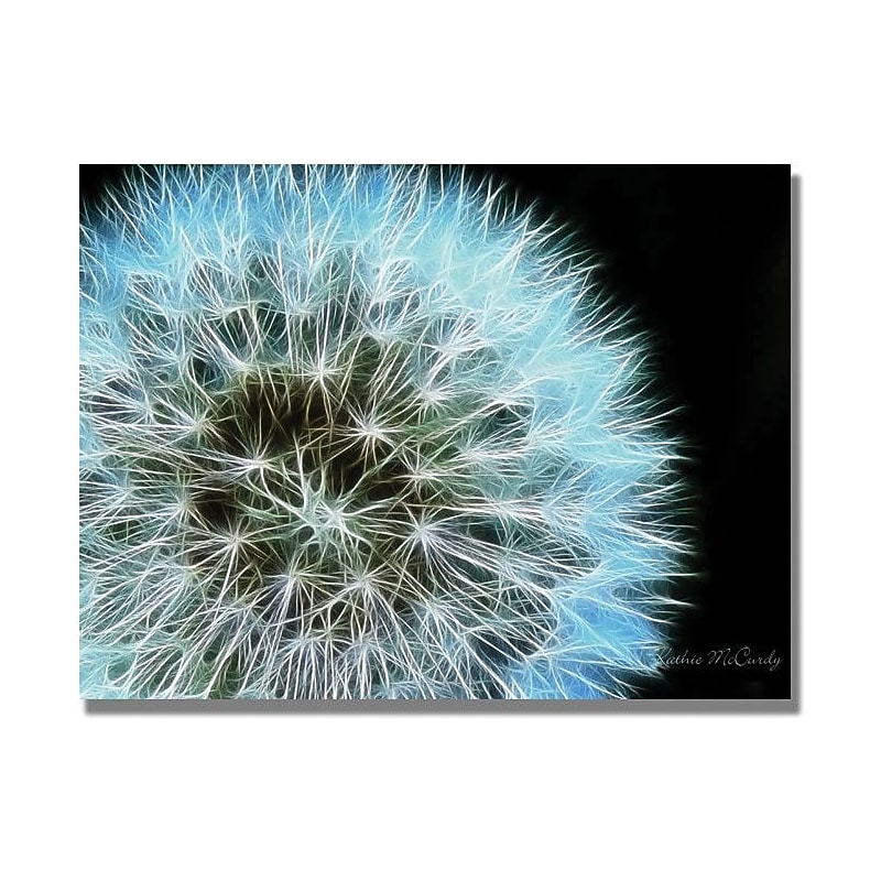 Trademark Global Kathie McCurdy "Dandelion Seed Head Full" Canvas Art, 18" x 24" image 1