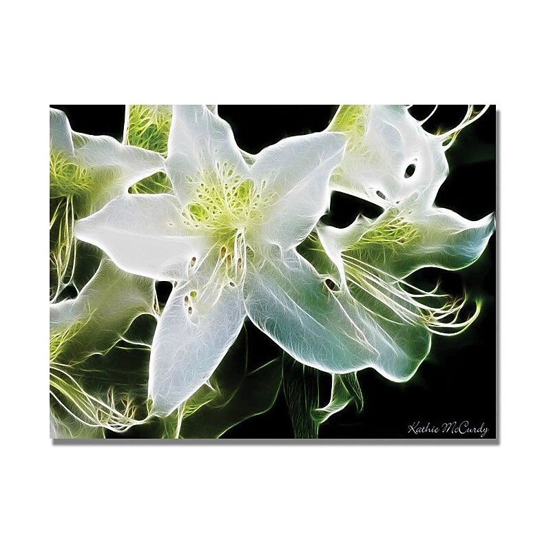 Trademark Global Kathie McCurdy "White Azalea" Canvas Art, 30" x 47" image 1