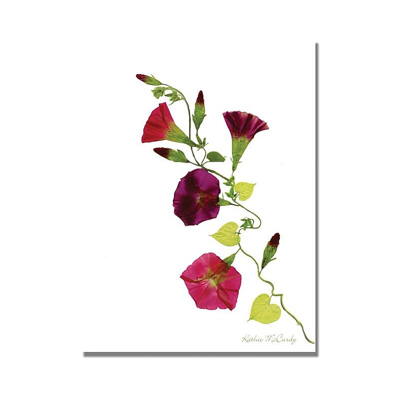 Trademark Global Kathie McCurdy "Morning Glories" Canvas Art, 24" x 18" image 1