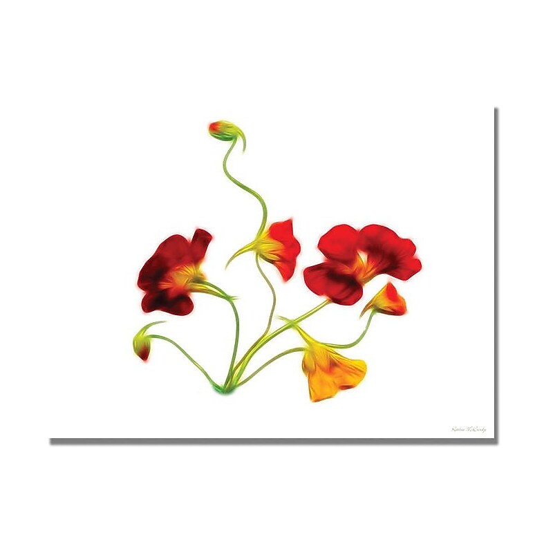 Trademark Global Kathie McCurdy "Orange and Yellow Nasturtiums" Canvas Art, 18" x 24" image 1
