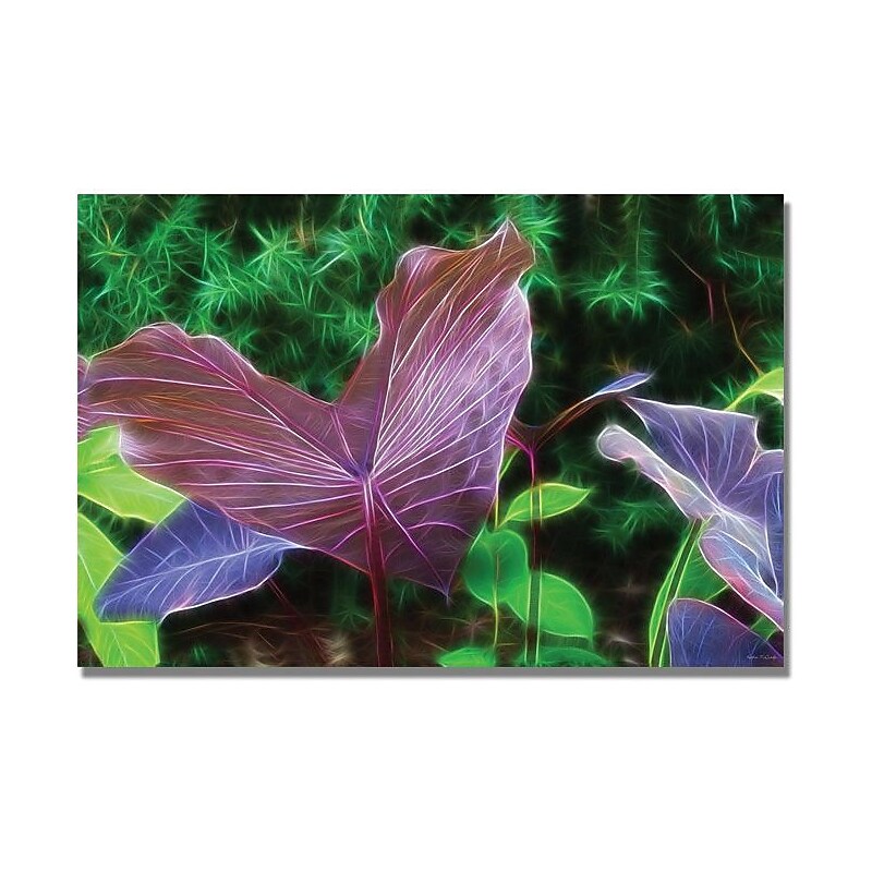 Trademark Global Kathie McCurdy "Hawaiian Garden II" Canvas Art, 16" x 24" image 1