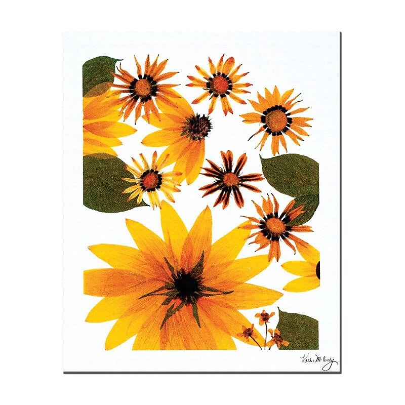 Trademark Global Kathie McCurdy 'Sunflower Cosmos' Canvas Art image 1
