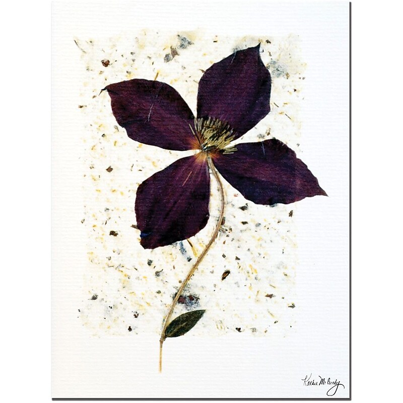 Trademark Global Kathie McCurdy "Aubergine" Canvas Art, 24" x 18" image 1
