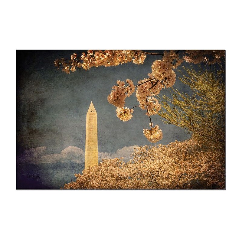 Trademark Global Lois Bryan "The Washington Monument" Canvas Art, 16" x 24" image 1