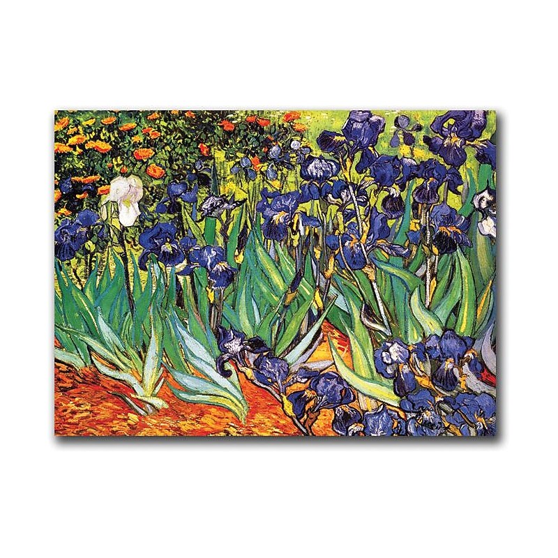 Trademark Global Vincent Van Gogh "Irises Saint-Remy" Canvas Art, 35" x 47" image 1