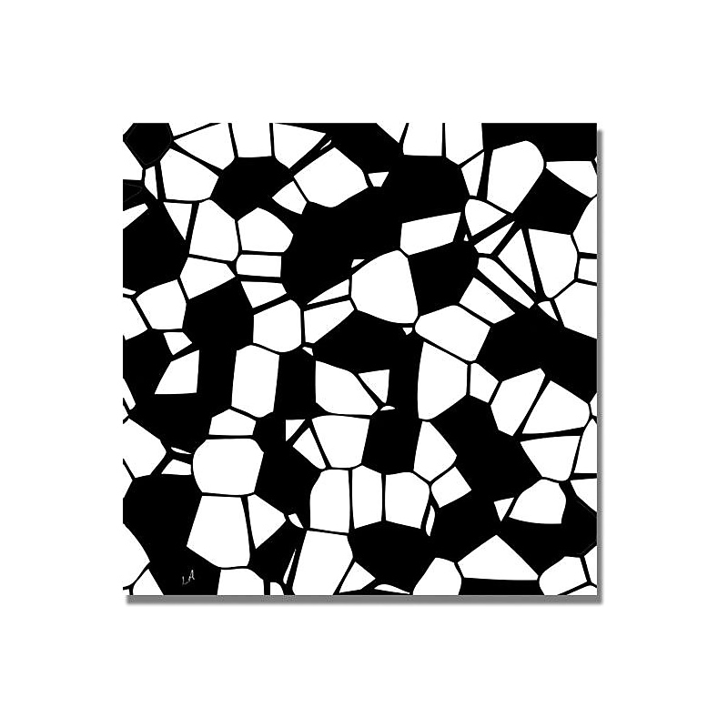 Trademark Global "Crystals of Black and White" Canvas Art, 18" x 18" image 1