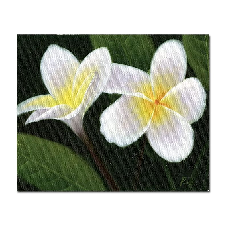 Trademark Global "Hawaiian Lei Flowers" Canvas Art, 26" x 32" image 1