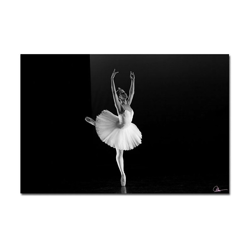 Trademark Global Miguel Paredes "Dancer I" Canvas Art, 16" x 24" image 1