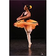 Trademark Global Martha Guerra "Ballerina" Canvas Art, 24" x 16" (MG029-C1624GG)