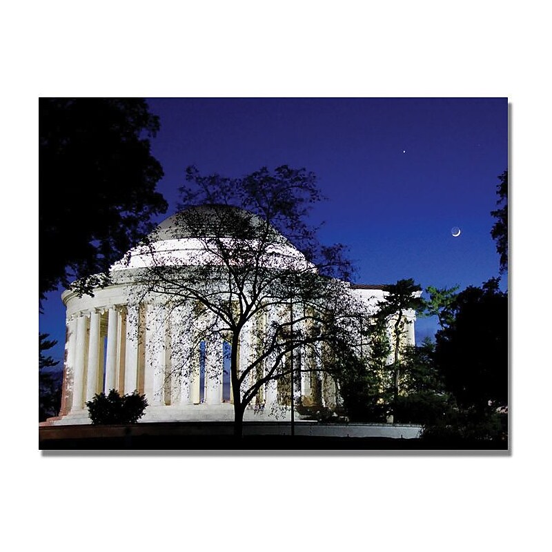 Trademark Global MCat "The Bold" Canvas Art, 18" x 24" image 1