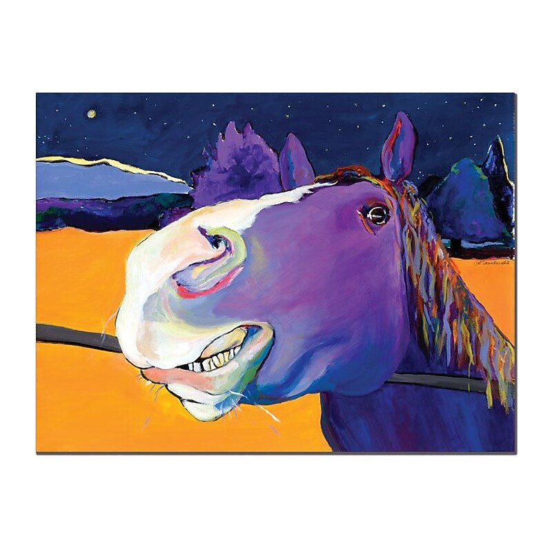 Trademark Global Pat Saunders White "Got Oats" Canvas Art, 14" x 19" image 1