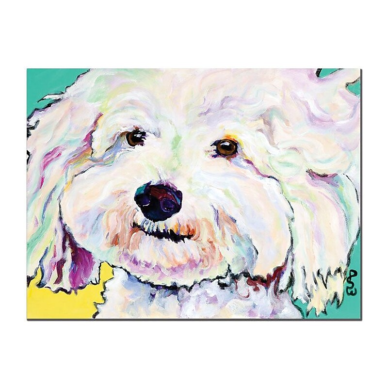 Trademark Global Pat Saunders White "Buttons" Canvas Art, 18" x 24" image 1