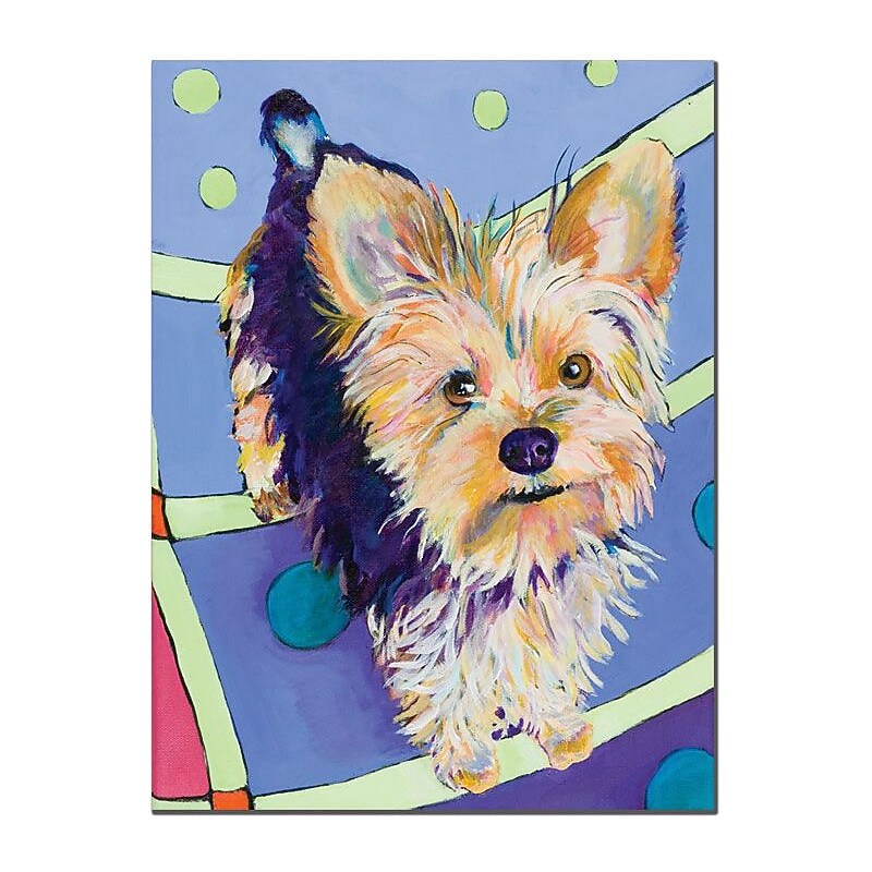 Trademark Global Pat Saunders White "Claire" Canvas Art, 32" x 26" image 1