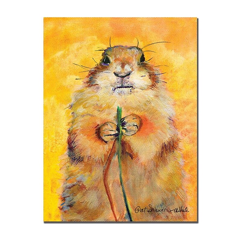 Trademark Global Pat Saunders White "Target" Canvas Art, 19" x 14" image 1