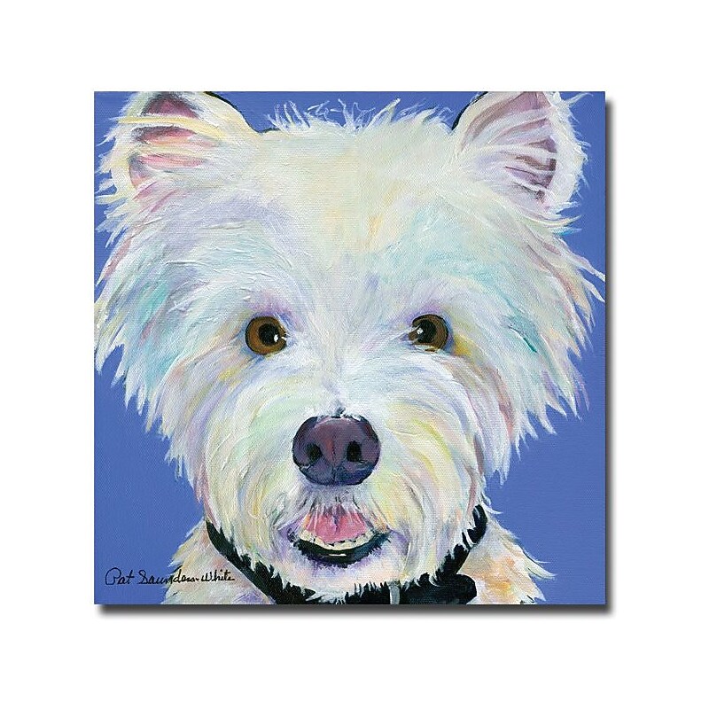 Trademark Global Pat Saunders White "Amos" Canvas Art, 18" x 18" image 1