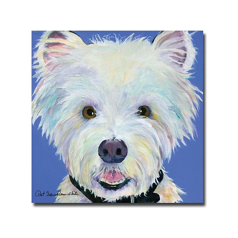 Trademark Global Pat Saunders White "Amos" Canvas Art, 24" x 24" image 1