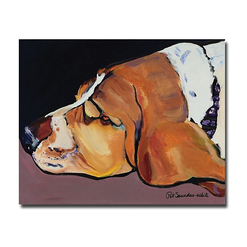 Trademark Global Pat Saunders White "Farley" Canvas Art, 35" x 47" image 1