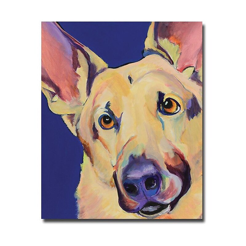 Trademark Global Pat Saunders White "Freida" Canvas Art, 47" x 35" image 1