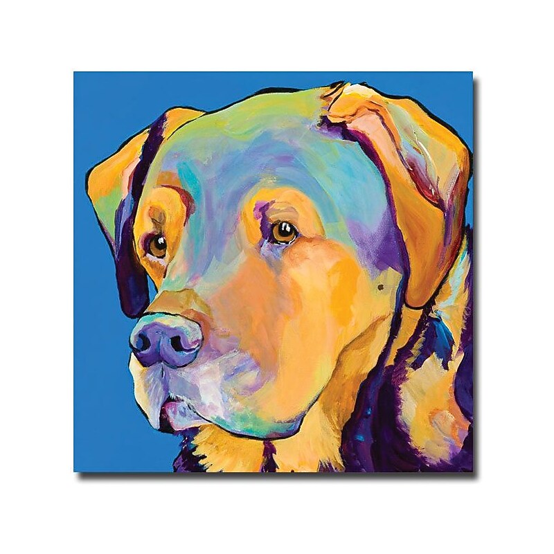 Trademark Global Pat Saunders White "Gunner" Canvas Art, 18" x 18" image 1