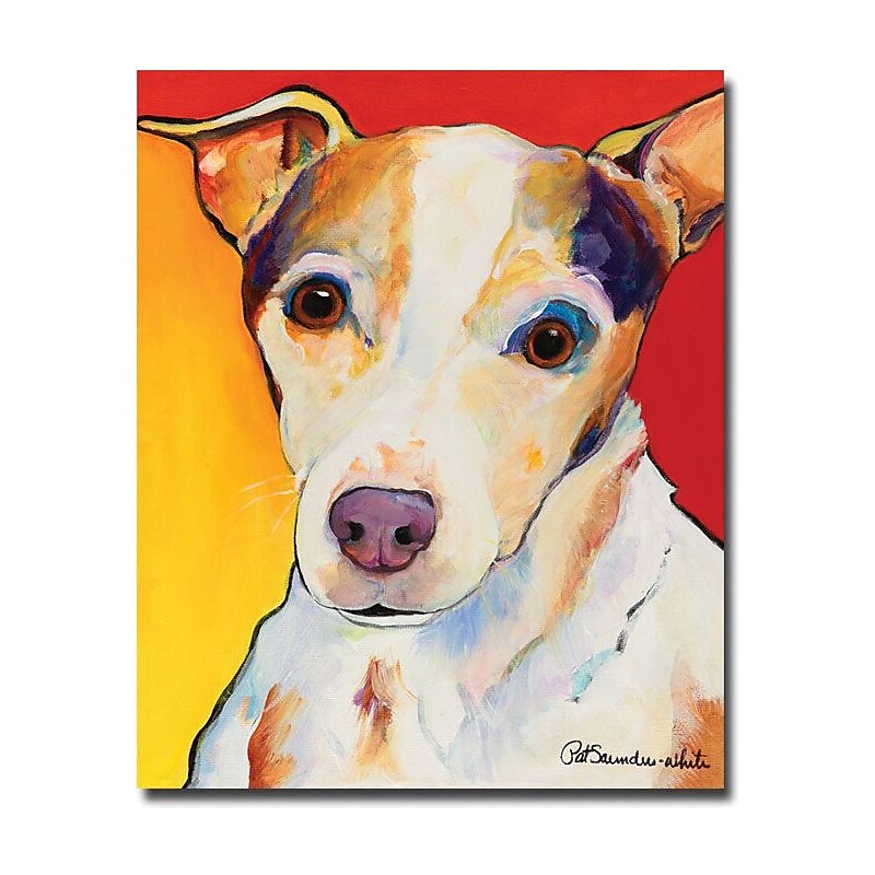 Trademark Global Pat Saunders White "Polly" Canvas Art, 47" x 35" image 1