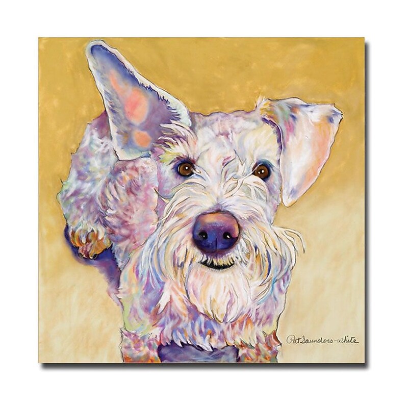 Trademark Global Pat Saunders White "Scooter" Canvas Art, 35" x 35" image 1