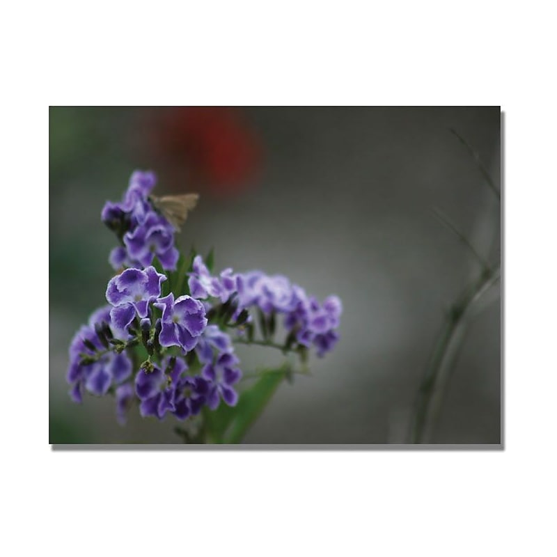 Trademark Global Patty Tuggle "Purple Flowers & Moth" Canvas Art, 35" x 47" image 1